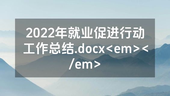 2022年就业促进行动工作总结.docx<em></em>