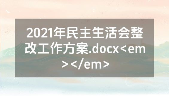 2021年民主生活会整改工作方案.docx<em></em>