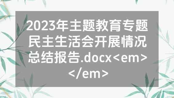 2023年主题教育专题民主生活会开展情况总结报告.docx<em></em>