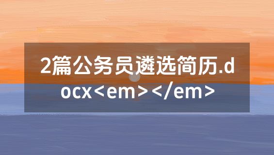 2篇公务员遴选简历.docx<em></em>
