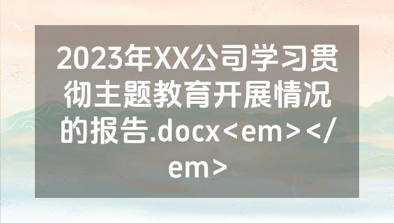 2023年XX公司学习贯彻主题教育开展情况的报告.docx<em></em>