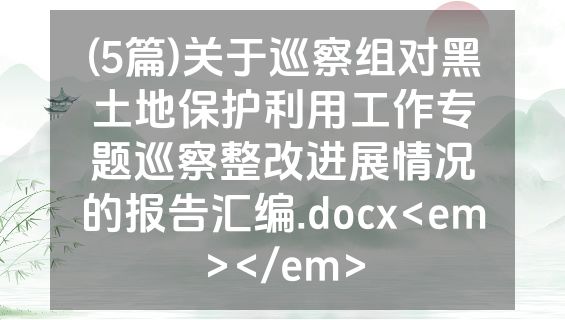 (5篇)关于巡察组对黑土地保护利用工作专题巡察整改进展情况的报告汇编.docx<em></em>