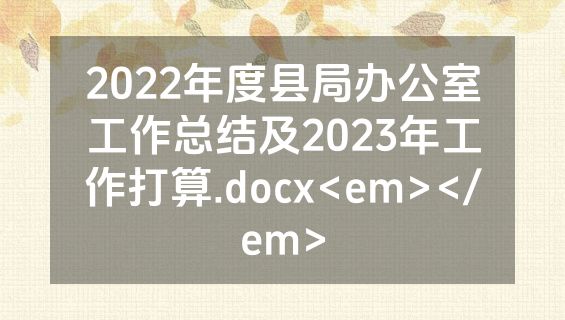 2022年度县局办公室工作总结及2023年工作打算.docx<em></em>