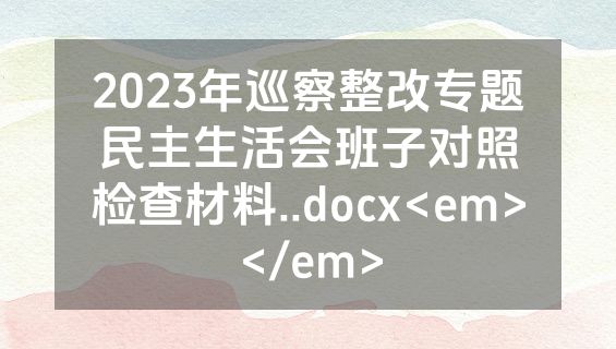 2023年巡察整改专题民主生活会班子对照检查材料..docx<em></em>