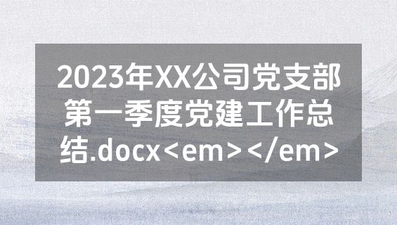 2023年XX公司党支部第一季度党建工作总结.docx<em></em>