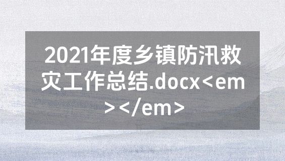 2021年度乡镇防汛救灾工作总结.docx<em></em>