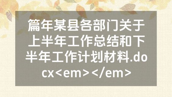 篇年某县各部门关于上半年工作总结和下半年工作计划材料.docx<em></em>
