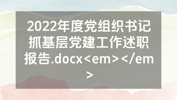 2022年度党组织书记抓基层党建工作述职报告.docx<em></em>