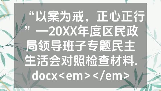 “以案为戒，正心正行”—20XX年度区民政局领导班子专题民主生活会对照检查材料.docx<em></em>