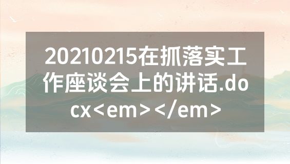 20210215在抓落实工作座谈会上的讲话.docx<em></em>