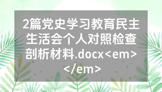2篇党史学习教育民主生活会个人对照检查剖析材料.docx<em></em>