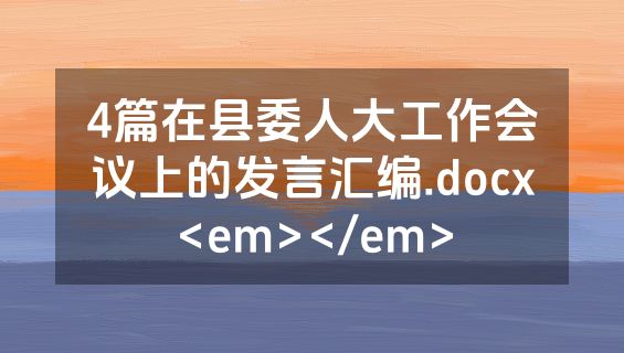 4篇在县委人大工作会议上的发言汇编.docx<em></em>