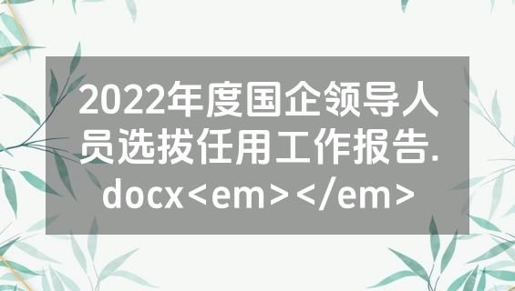 2022年度国企领导人员选拔任用工作报告.docx<em></em>