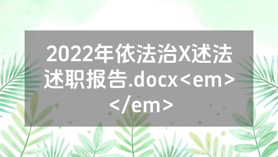 2022年依法治X述法述职报告.docx<em></em>