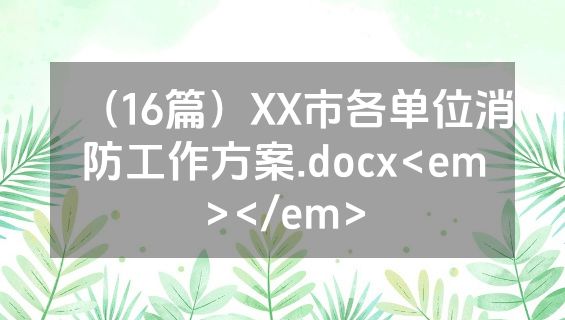 （16篇）XX市各单位消防工作方案.docx<em></em>