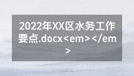 2022年XX区水务工作要点.docx<em></em>