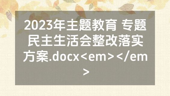 2023年主题教育 专题民主生活会整改落实方案.docx<em></em>