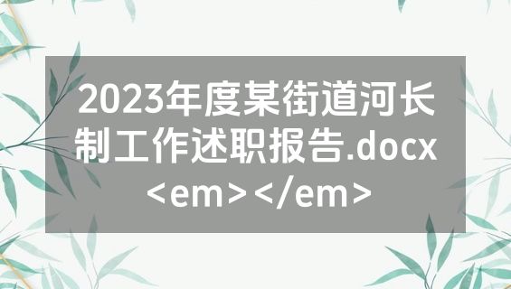 2023年度某街道河长制工作述职报告.docx<em></em>
