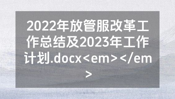 2022年放管服改革工作总结及2023年工作计划.docx<em></em>