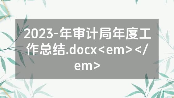 2023-年审计局年度工作总结.docx<em></em>
