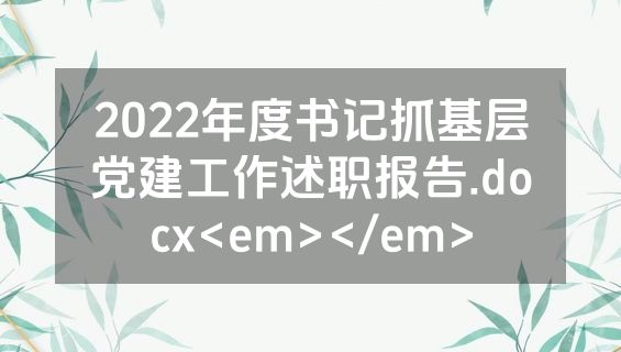 2022年度书记抓基层党建工作述职报告.docx<em></em>