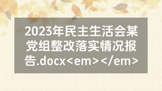 2023年民主生活会某党组整改落实情况报告.docx<em></em>