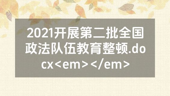 2021开展第二批全国政法队伍教育整顿.docx<em></em>