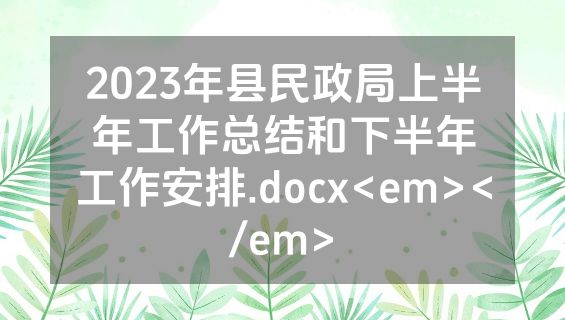 2023年县民政局上半年工作总结和下半年工作安排.docx<em></em>