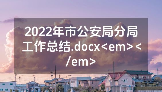 2022年市公安局分局工作总结.docx<em></em>