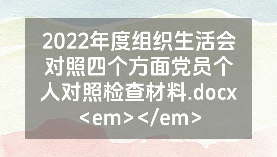 2022年度组织生活会对照四个方面党员个人对照检查材料.docx<em></em>