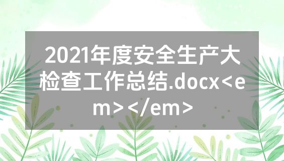 2021年度安全生产大检查工作总结.docx<em></em>