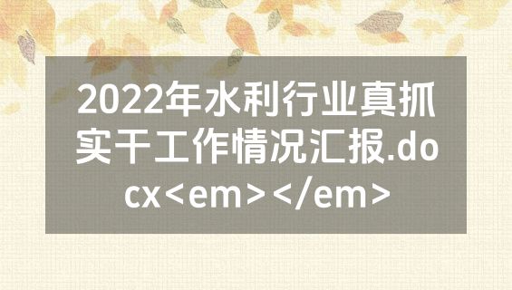 2022年水利行业真抓实干工作情况汇报.docx<em></em>