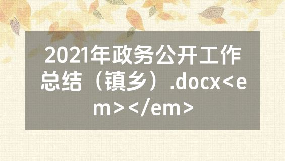 2021年政务公开工作总结（镇乡）.docx<em></em>