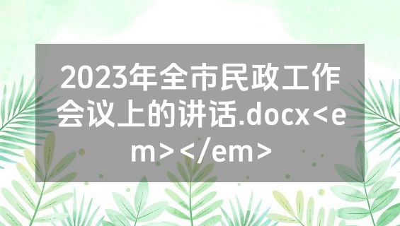 2023年全市民政工作会议上的讲话.docx<em></em>