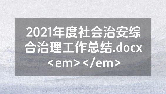 2021年度社会治安综合治理工作总结.docx<em></em>