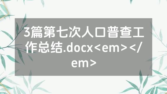 3篇第七次人口普查工作总结.docx<em></em>
