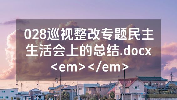 028巡视整改专题民主生活会上的总结.docx<em></em>