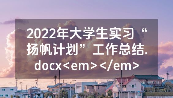 2022年大学生实习“扬帆计划”工作总结.docx<em></em>