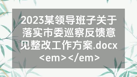 2023某领导班子关于落实市委巡察反馈意见整改工作方案.docx<em></em>