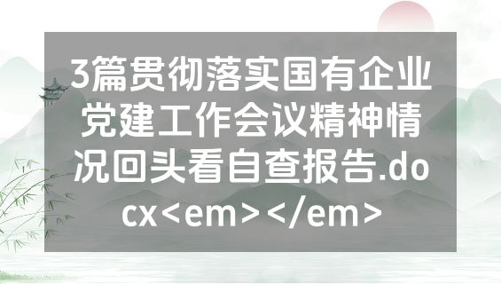 3篇贯彻落实国有企业党建工作会议精神情况回头看自查报告.docx<em></em>