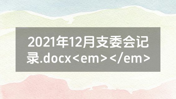 2021年12月支委会记录.docx<em></em>