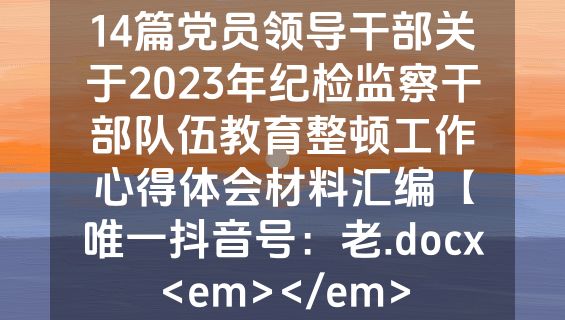 14篇党员领导干部关于2023年纪检监察干部队伍教育整顿工作心得体会材料汇编【唯一抖音号：老.docx<em></em>