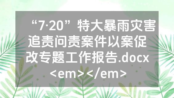 “7·20”特大暴雨灾害追责问责案件以案促改专题工作报告.docx<em></em>