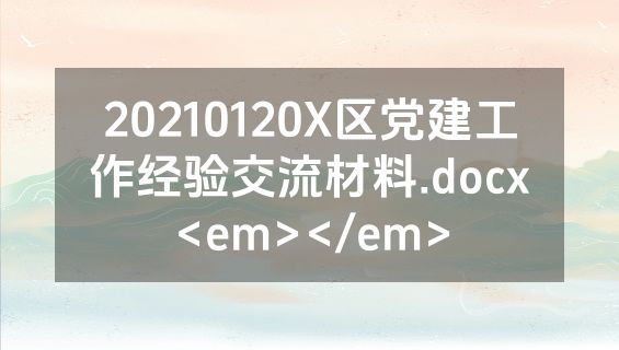 20210120X区党建工作经验交流材料.docx<em></em>
