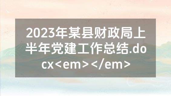2023年某县财政局上半年党建工作总结.docx<em></em>