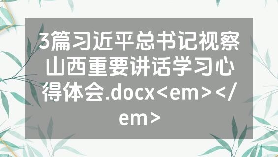 3篇习近平总书记视察山西重要讲话学习心得体会.docx<em></em>