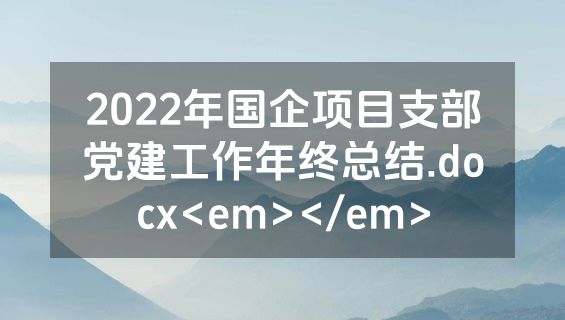 2022年国企项目支部党建工作年终总结.docx<em></em>