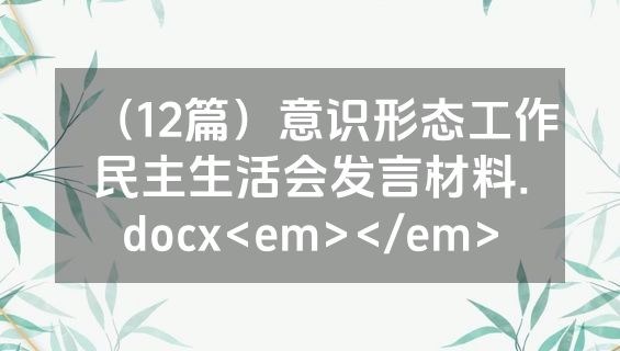 （12篇）意识形态工作民主生活会发言材料.docx<em></em>