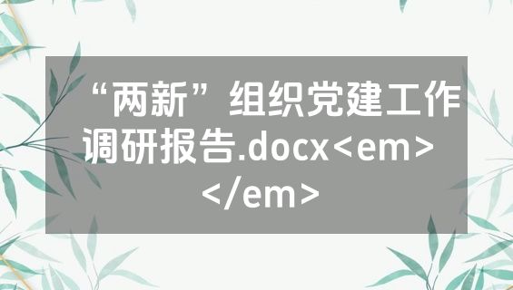“两新”组织党建工作调研报告.docx<em></em>
