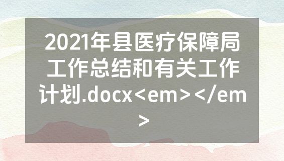 2021年县医疗保障局工作总结和有关工作计划.docx<em></em>